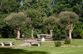 Château du Clair de Lune - Teritoria - photo 16