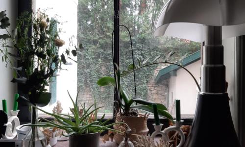 Hôtel & Coliving Saint Charles - photo 2