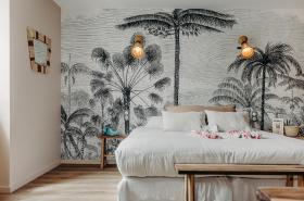 Hôtel Palmito - photo 10