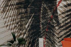 Hôtel Palmito - photo 9