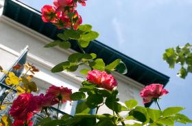 Hotel Edouard VII - photo 7