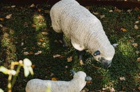 Hotel Edouard VII - photo 6