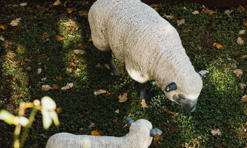 Hotel Edouard VII - photo 3