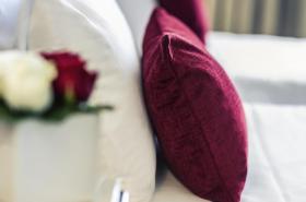 Hôtel Plaza Biarritz Plage - photo 8