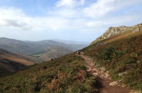 Hôtel Saint James - photo 6