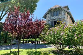 Beaumanoir - photo 7