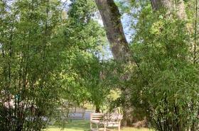 Beaumanoir - photo 9